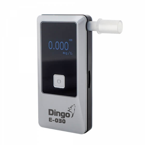 Dingo E 030 - Динго E-030